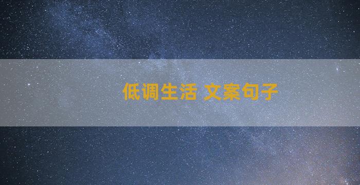 低调生活 文案句子